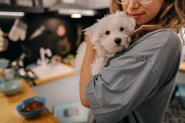 istock Young women playing with pet dog 1362263278