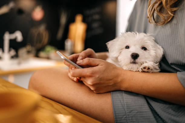 istock Woman using smart phone with pet dog 1362263305
