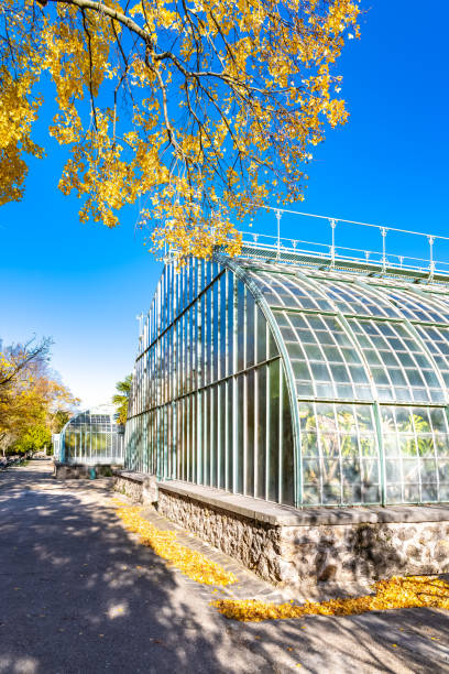 istock Paris, the Auteuil greenhouses 1362267170