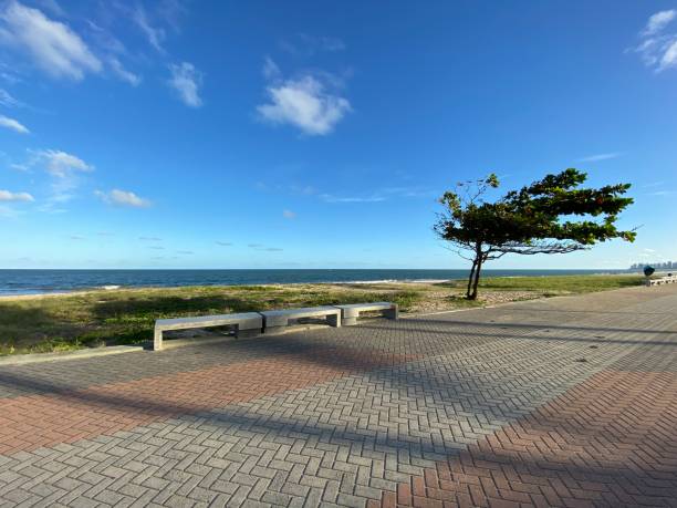 Boa Viagem sidewalk and beach stock photo