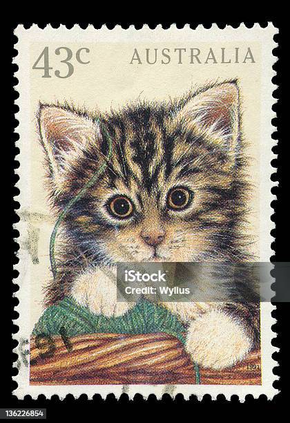 オーストラリアポストスタンプ - 飼い猫のストックフォトや画像を多数ご用意 - 飼い猫, 郵便切手, 郵便