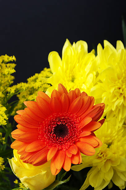 istock Orange And Yellow Flowers Against Dark Background 136227120