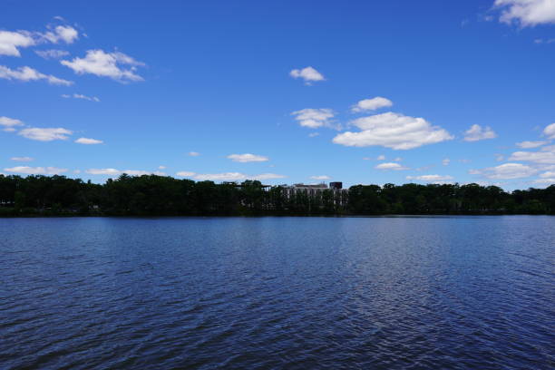 istock peaceful neighborhood pond in nature 1362274844