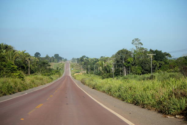 istock Highway in the brazilian Amazon region 1362278652