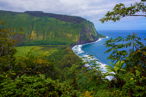 Beautiful, scenic view of lush, tropical Waipio Valley on the Big Island, Hawaii