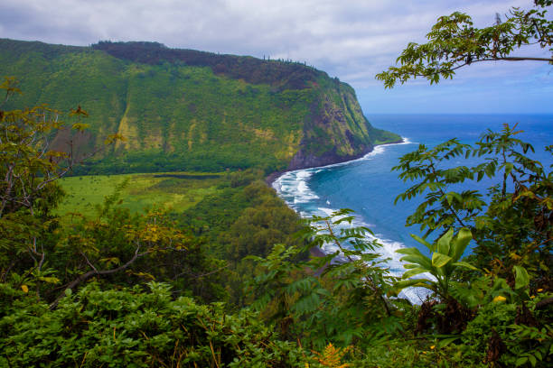 beautiful, scenic view of lush, tropical waipio valley on the big island, hawaii - hamakua coast imagens e fotografias de stock