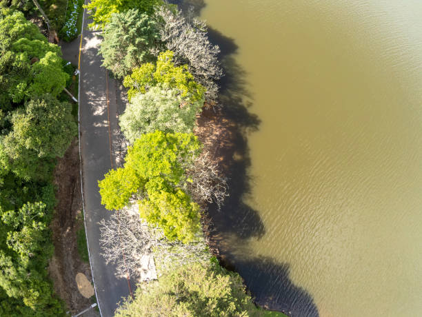 istock Sao Bernardo lake with forest around 1362283367
