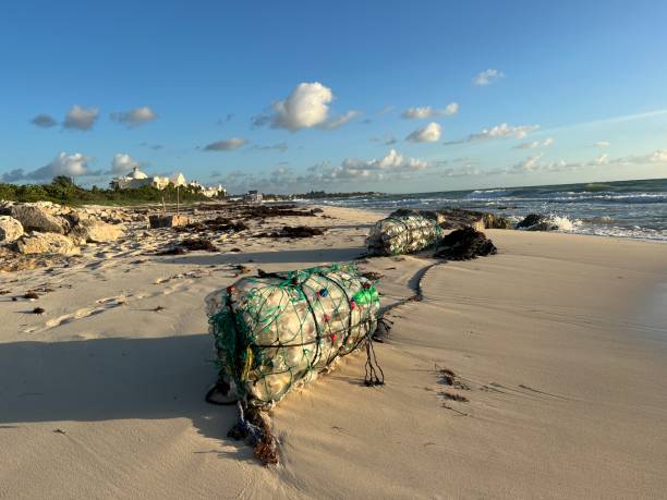 istock Collected plastic bottles on a beautiful beach in riviera maya, mexico. 1362285494
