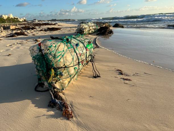 istock Collected plastic bottles on a beautiful beach in riviera maya, mexico. 1362285495