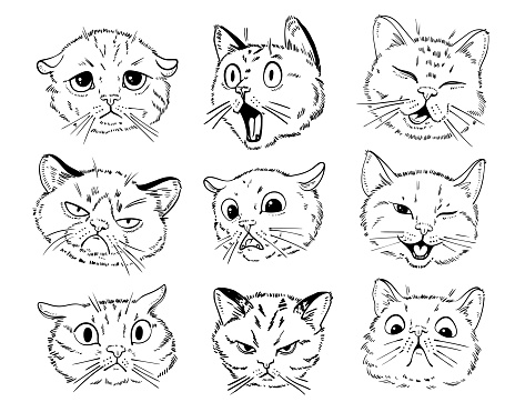 Cat portrait drawing. Black and white cartoon characters. Funny vector illustration. Isolated on white background. Set