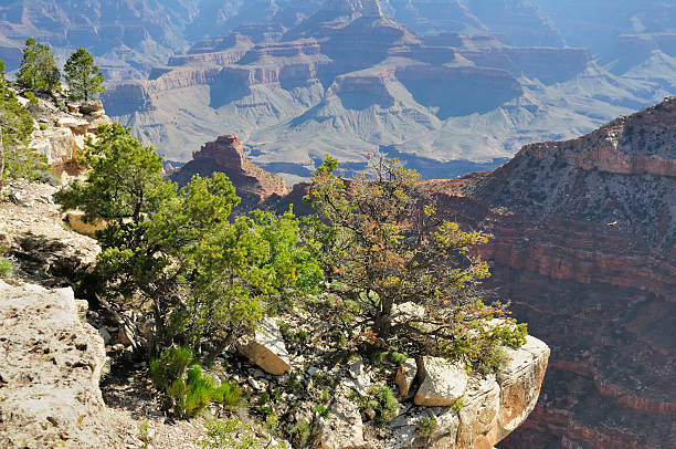 istock Grand Canyon National Park 136228604