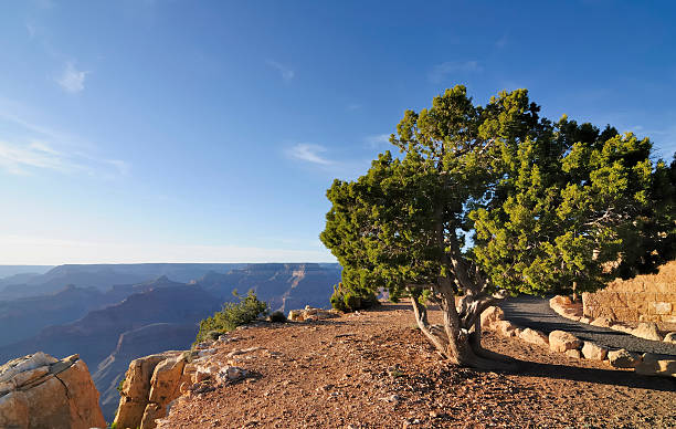 istock Grand Canyon National Park 136228833