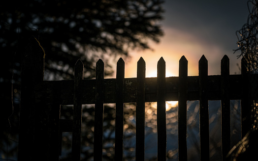 Sunset over the wooden fence in the garden