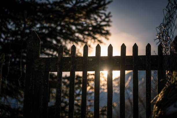 Sunset over the wooden fence in the garden