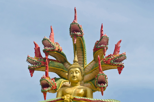 style of Buddha with a naga over His head