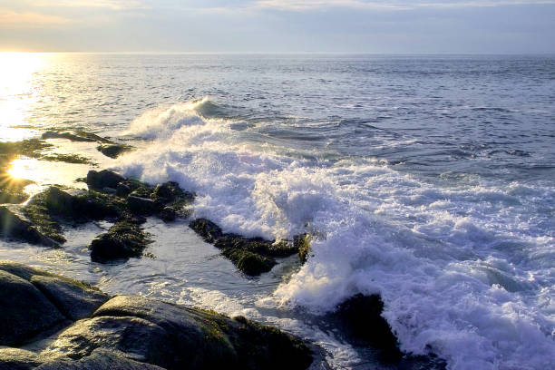 istock Halibut Point Surf at Sunset - Rockport MA 1362291065