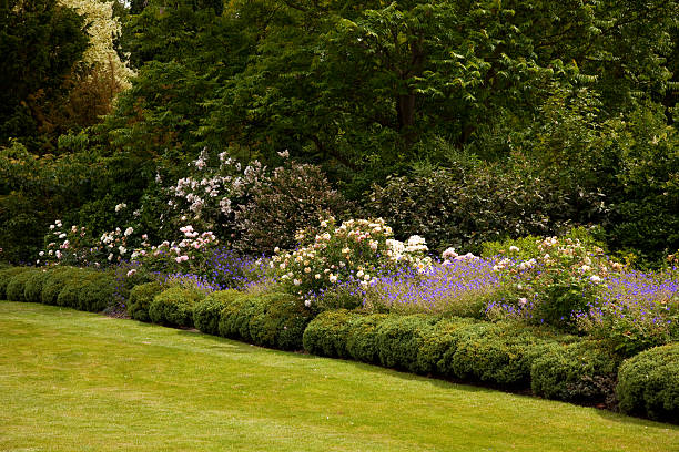 istock English Garden Border 136229116