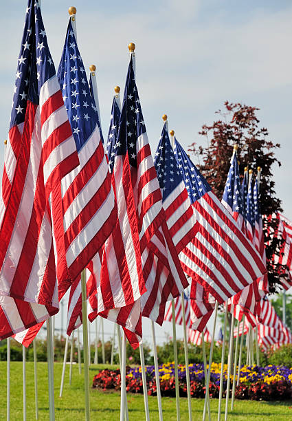 istock American Flags on Memorial Day  at a Cemetery 136229525