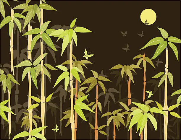 Vector illustration of Bamboo thickets