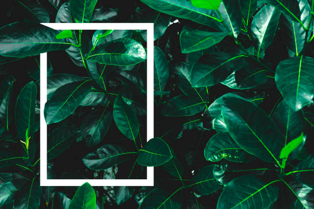 istock Creative layout of flowers and leaves with vertical paper card notes. 1362306412