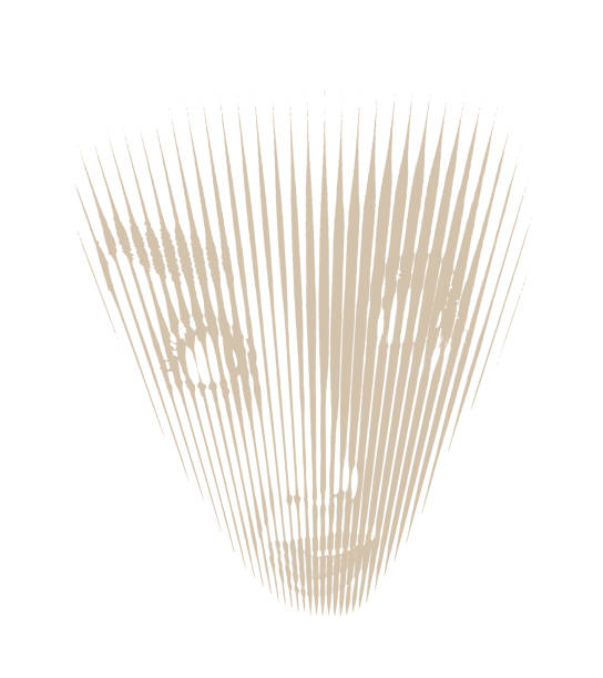 舌を突き出した女性の顔 - white background colors striped part of点のイラスト素材／クリップアート素材／マンガ素材／アイコン素材