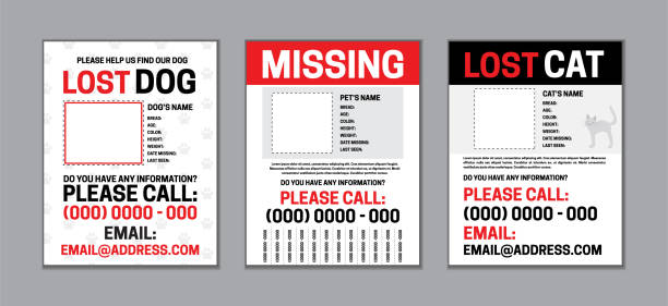 stockillustraties, clipart, cartoons en iconen met missing or lost pet page template set with dog and cat design - verdwaald