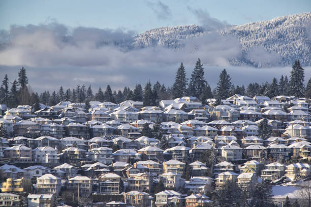 istock Fraser river in winter 2021, BC, Canada 1362309887