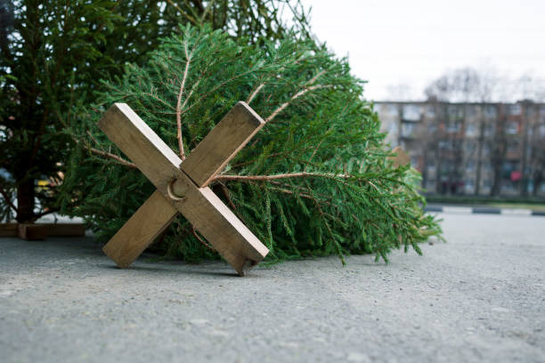 used christmas tree on street
