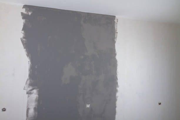 istock A gray-painted wall in the house, the paint dries on a white wall 1362320172