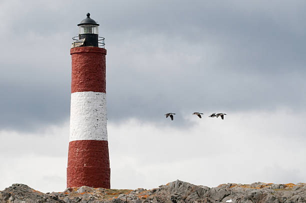 lighthouse the world's most southern lighthouse, Les Eclaiteurs, standing on a rock with three cormorants flying past it les eclaireurs lighthouse photos stock pictures, royalty-free photos & images