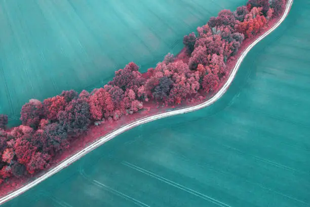 Photo of Surreal Wheat Field