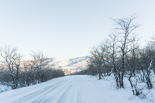 Snow covered road between mountain forest