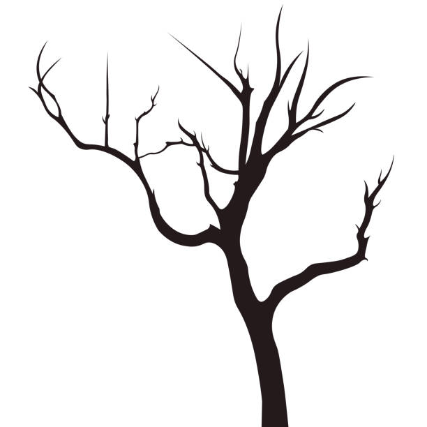 방전됨 트리 - tree silhouette branch bare tree stock illustrations