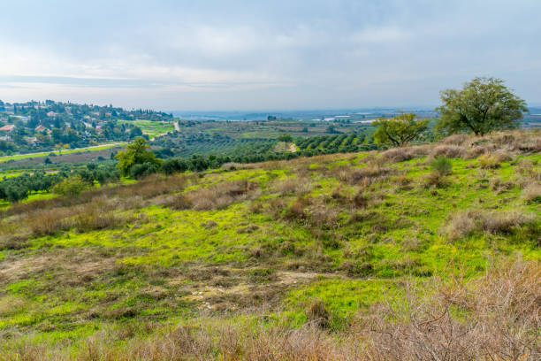 istock Landscape and countryside from Tel Gezer 1362328299