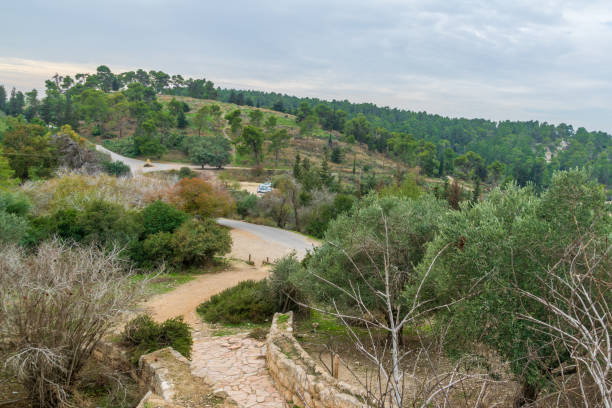 paesaggio della foresta di tzora - ayalon freeway foto e immagini stock