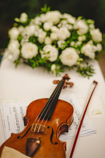 Violin, Yellow roses with the sheet of notes at the wedding