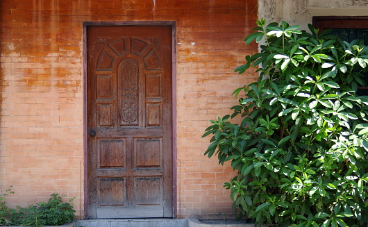 Retro style of red brown wood door and old red brick wall, green leaves of shrub on right.