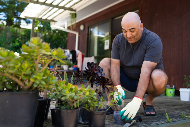 Gardening at home.