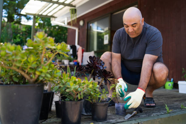 istock Gardening is my hobby. 1362338881