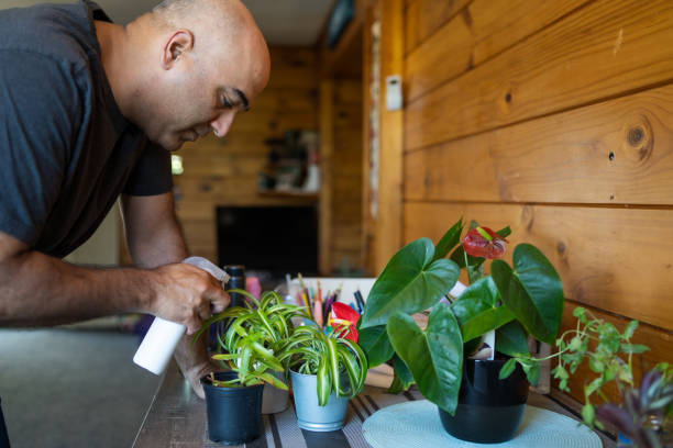 istock Gardening relates to human interest. 1362338892