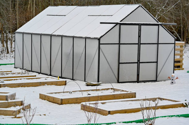 istock greenhouse covered in frost a cold december day 1362338997