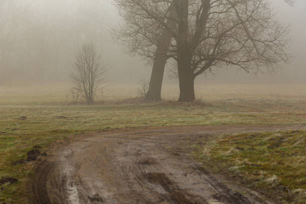 istock Rural landscape on a winter day. Poland. 1362339691