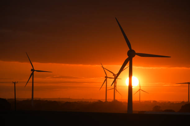 Farm fields and wind turbines in winter.