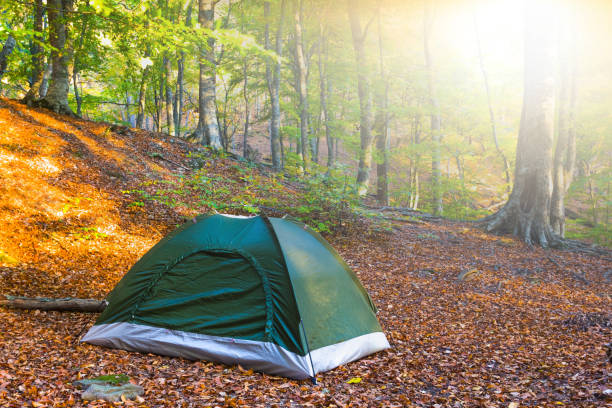 istock green touristic tent in a autumn forest 1362344230