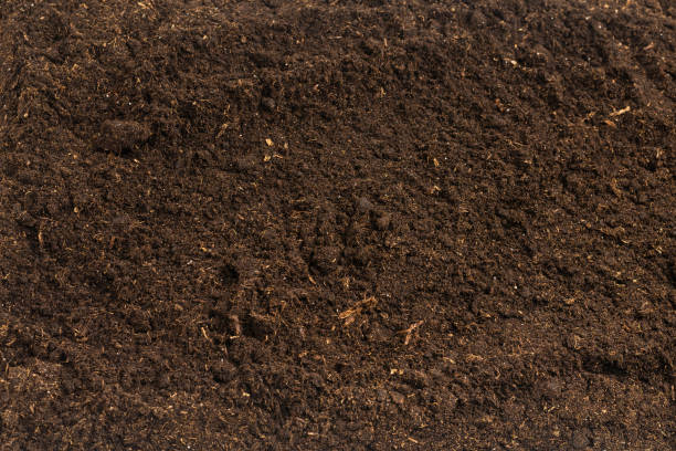 istock Soil for plant isolated on white background. 1362347416