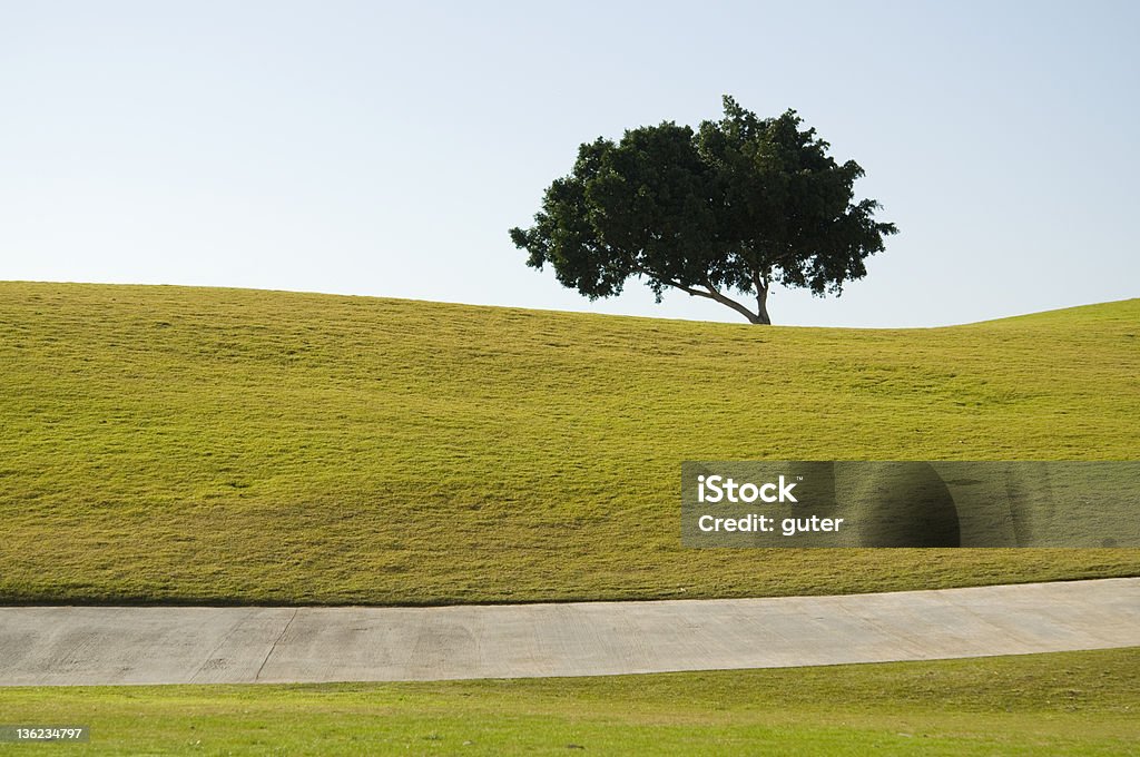 ゴルフコート - グリーンのロイヤリティフリーストックフォト