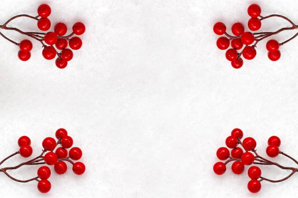 istock Frame of red winter berries on a snowy background. 1362350972