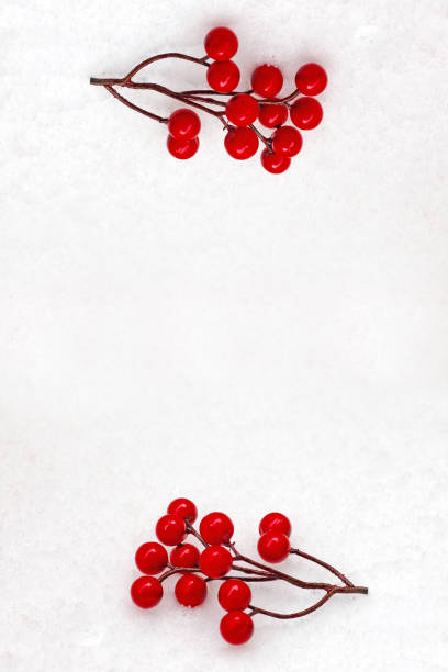 istock Red winter berries on a snowy background. 1362350981