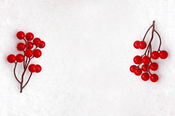 istock Red winter berries on a snowy background. 1362350999