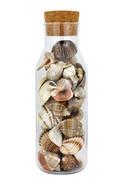 istock Seashells in a glass jar on white background. 1362351305